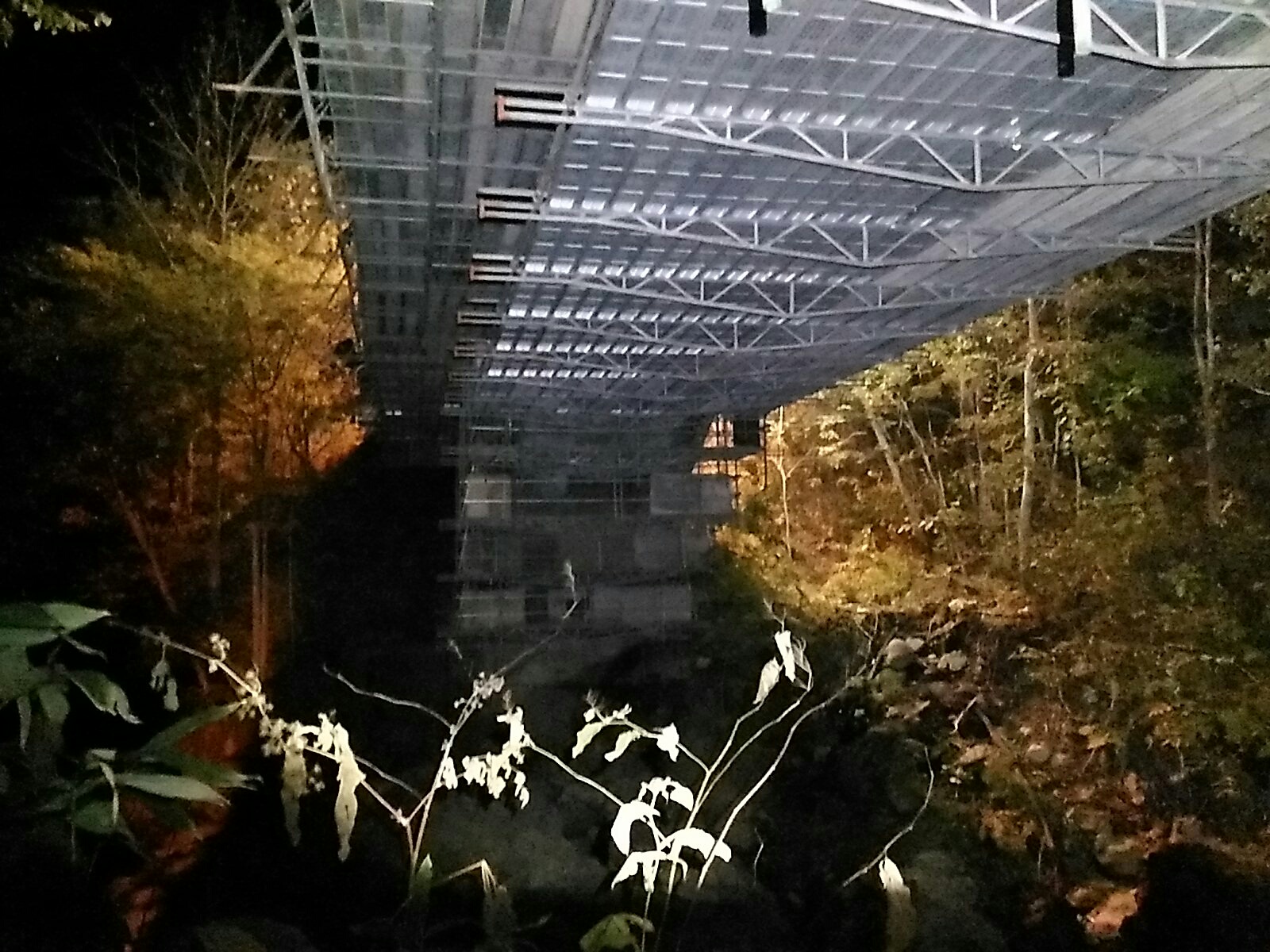 一般国道２３０号　札幌市　薄別橋補修外一連工事