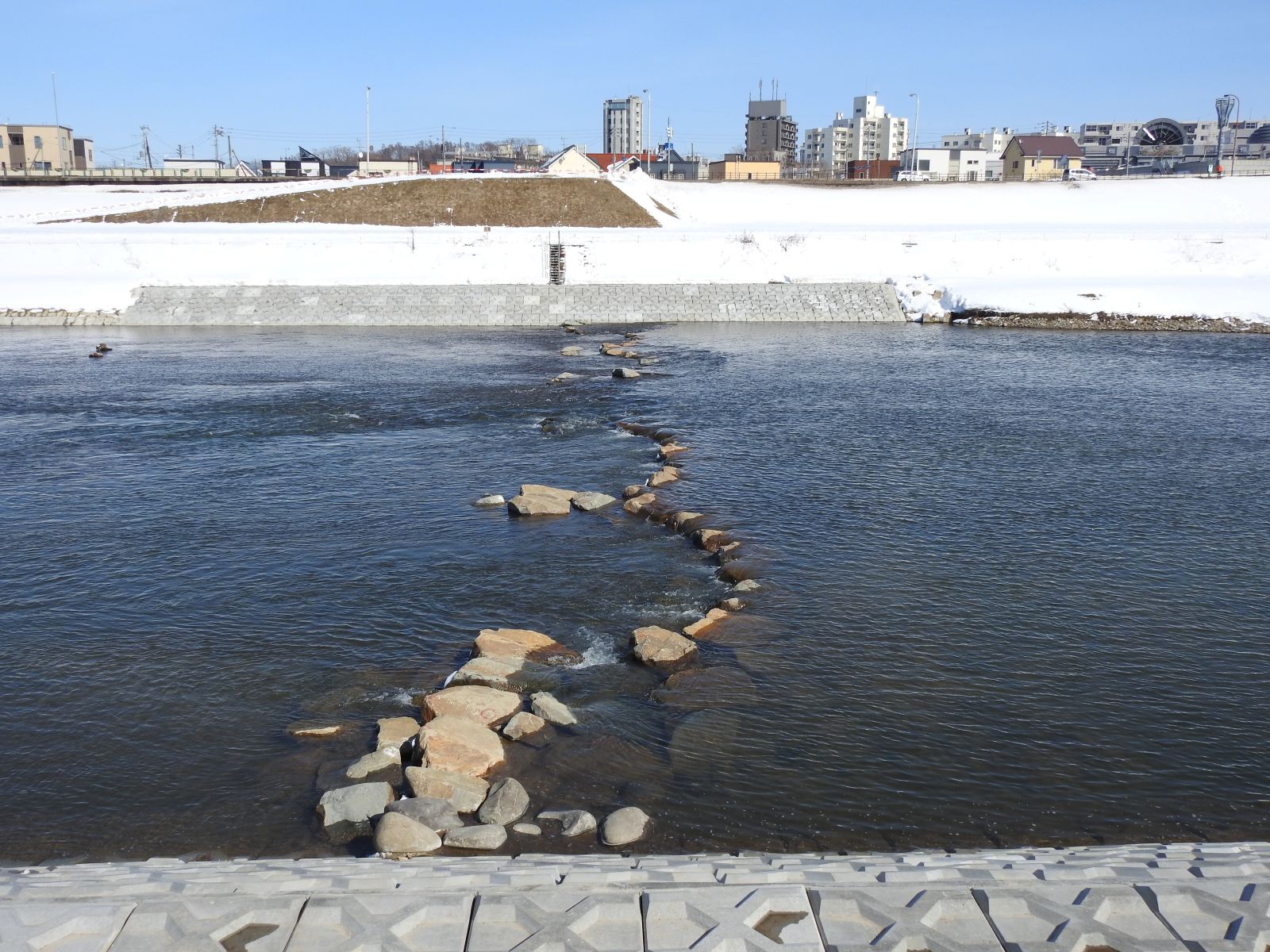 石狩川改修工事の内　豊平川右岸上流築堤河岸保護外工事